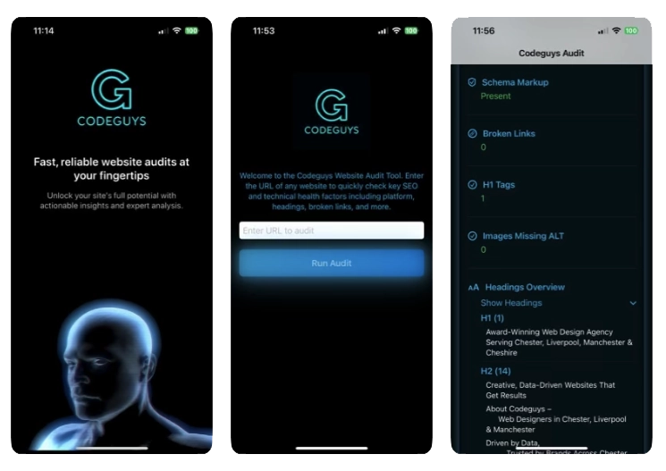 CG Audit App screens